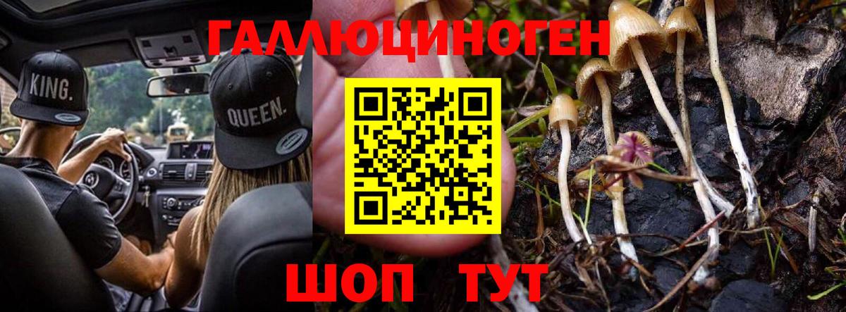Псилоцибиновые грибы Psilocybe  Вход с VPN  Чебоксары 